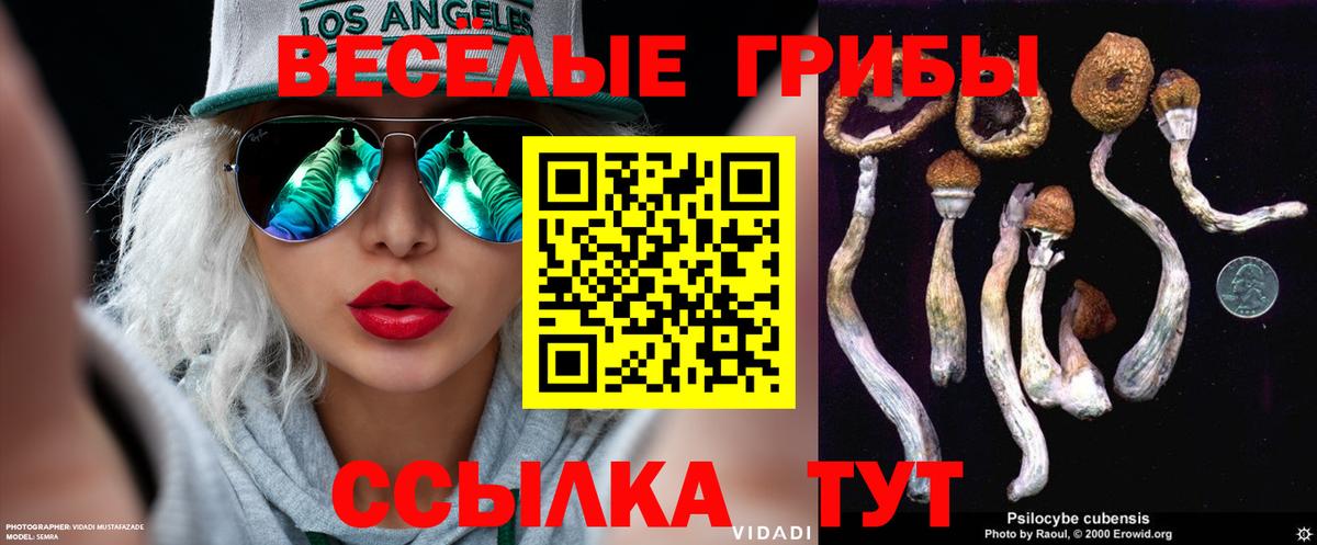 Вязьма  Галлюциногенные грибы Cubensis  Вход с VPN 