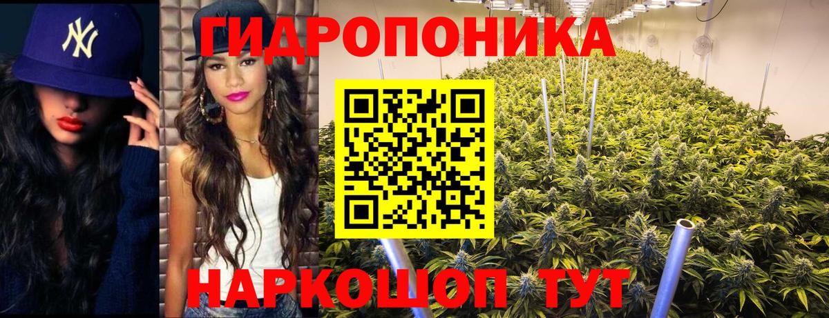 Канабис планчик  Бошки Шишки гибрид  МАРИХУАНА план  Вязьма  Вход с VPN  Бошки Шишки гибрид 